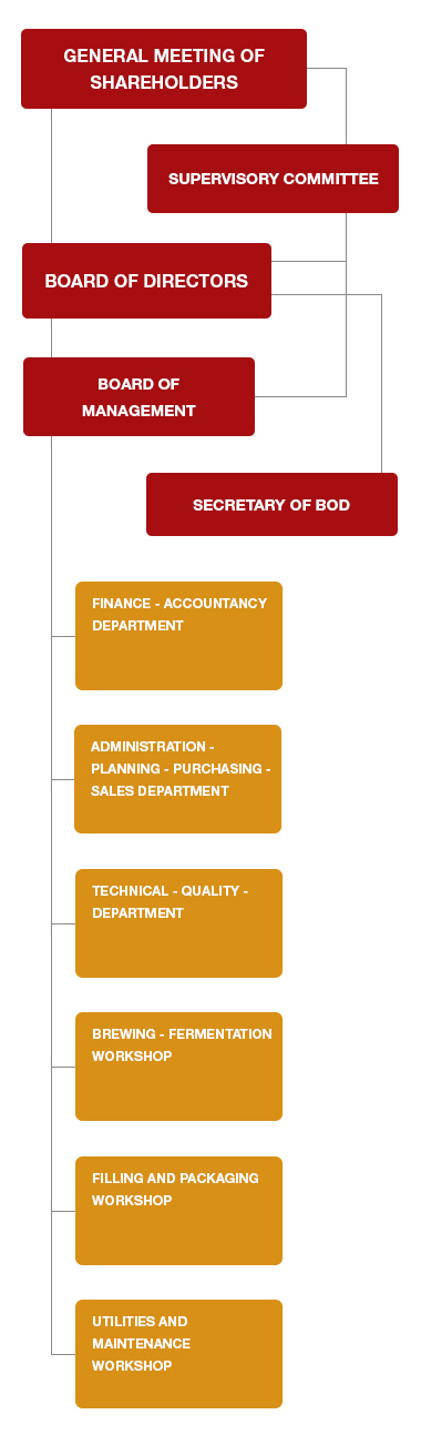 ORGANIZATION-CHART-2